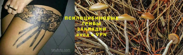 тгк Нязепетровск